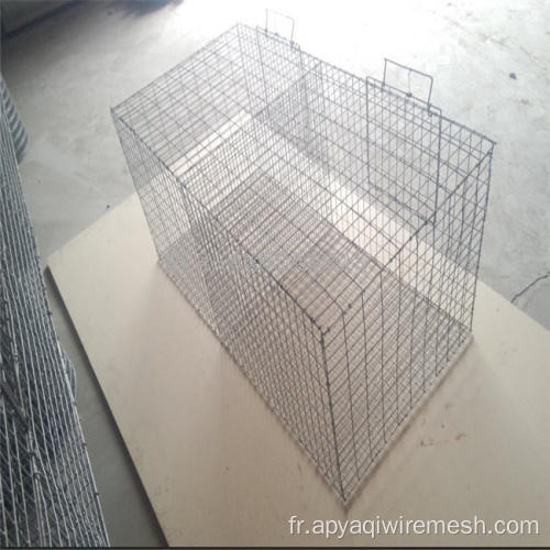 Mesh métallique soudée en acier galvanisé pour cages de poulet